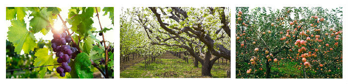 QUG56R3AX9QDWTVPUJBR27